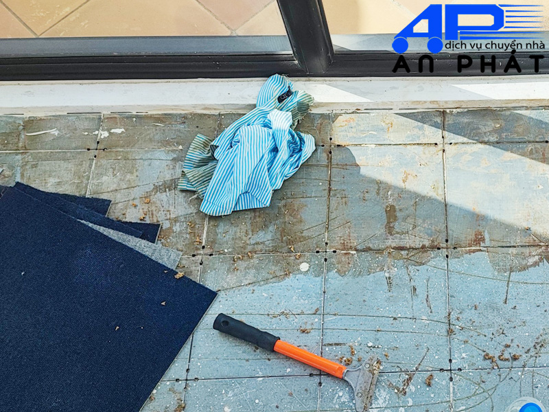 Dịch vụ tẩy keo d&aacute;n thảm