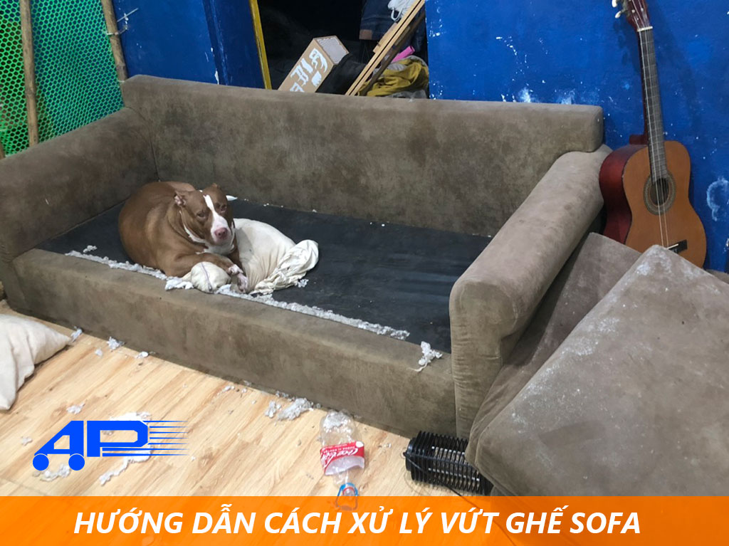 Hướng dẫn c&aacute;ch xử l&yacute; vứt ghế sofa cũ